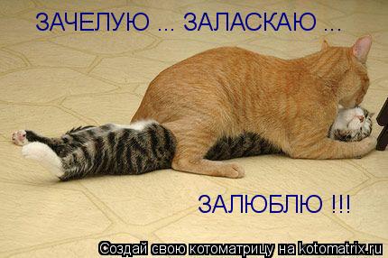 Котоматрица: ЗАЧЕЛУЮ ... ЗАЛАСКАЮ ... ЗАЛЮБЛЮ !!!