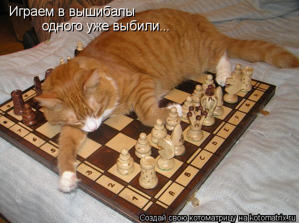 Котоматрица: Играем в вышибалы одного уже выбили...