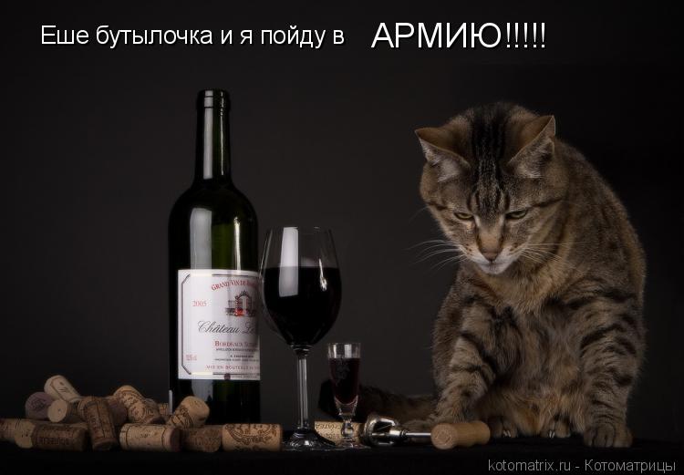 Котоматрица: Еше бутылочка и я пойду в АРМИЮ!!!!!