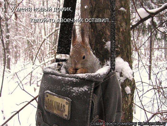 Котоматрица: У меня новый домик, какой-то двоечник оставил...