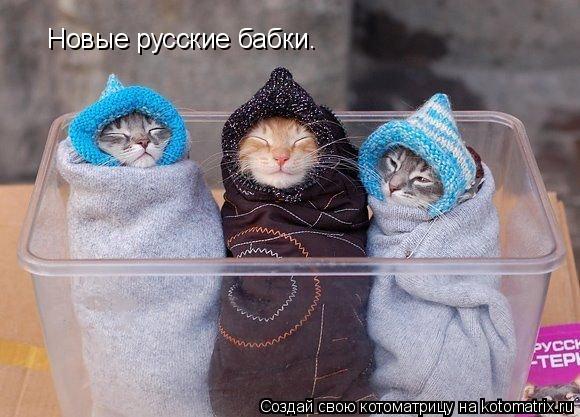 Котоматрица: Новые русские бабки.