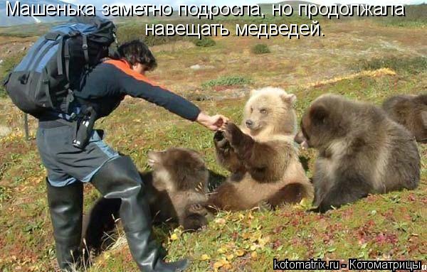 Котоматрица: Машенька заметно подросла, но продолжала навещать медведей.