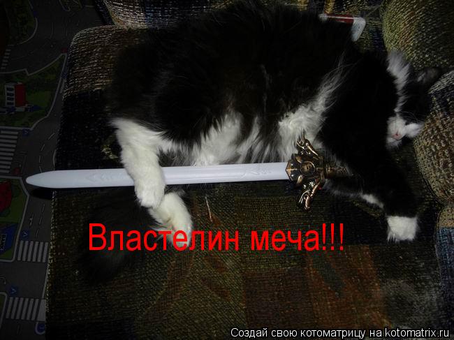 Котоматрица: Властелин меча!!!