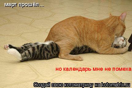 Котоматрица: март прошёл... но календарь мне не помеха