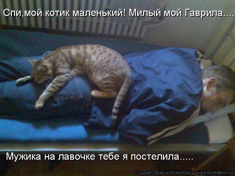 Котоматрица: Спи,мой котик маленький! Милый мой Гаврила........ Мужика на лавочке тебе я постелила.....