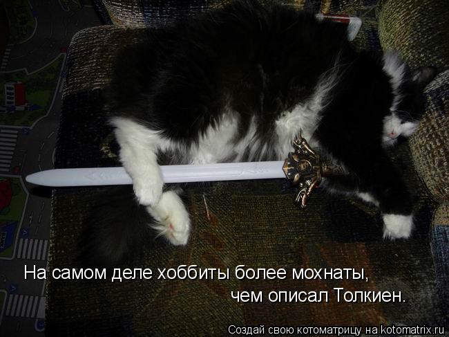 Котоматрица: На самом деле хоббиты более мохнаты,  чем описал Толкиен.