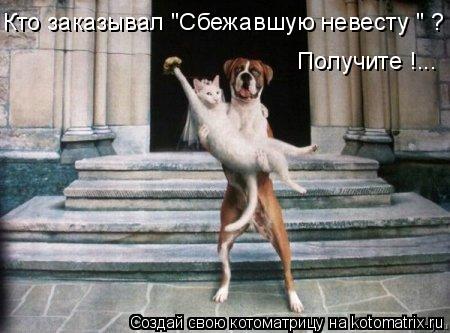 Котоматрица: Кто заказывал "Сбежавшую невесту " ? Получите !...