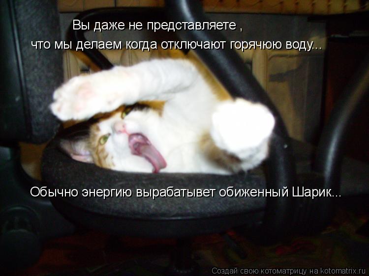 Котоматрица: Вы даже не представляете , что мы делаем когда отключают горячюю воду... Обычно энергию вырабатывет обиженный Шарик...