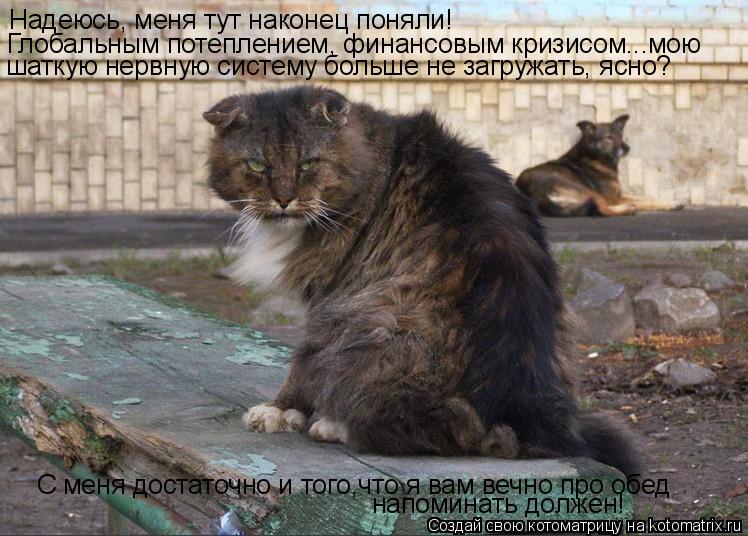 Котоматрица: Надеюсь, меня тут наконец поняли! С меня достаточно и того,что я вам вечно про обед Глобальным потеплением, финансовым кризисом...мою напоми