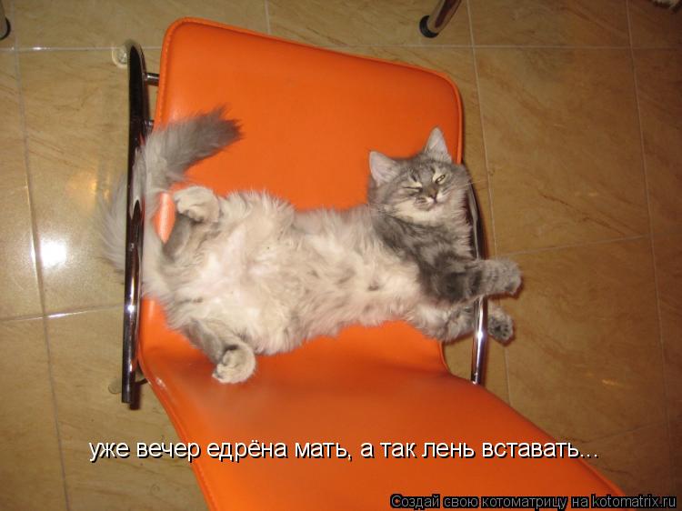 Котоматрица: уже вечер едрёна мать, а так лень вставать...