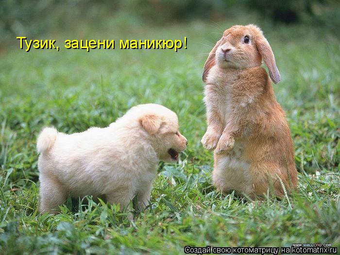 Котоматрица: Тузик, зацени маникюр!