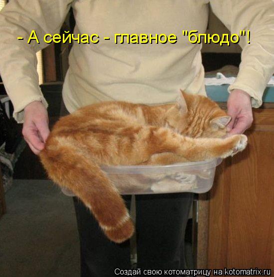 Котоматрица: - А сейчас - главное "блюдо"!