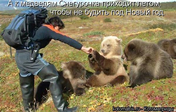 Котоматрица: А к медведям Снегурочка приходит летом, чтобы не будить под Новый год.