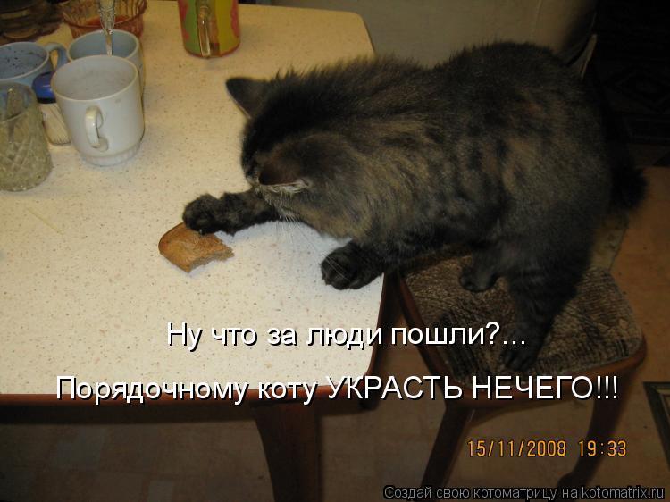 Ну что за люди пошли?... Порядочному коту УКРАСТЬ НЕЧЕГО!!!... Котоматрица: Ну что за люди пошли?... Порядочному коту УКРАСТЬ НЕЧЕГО!!!