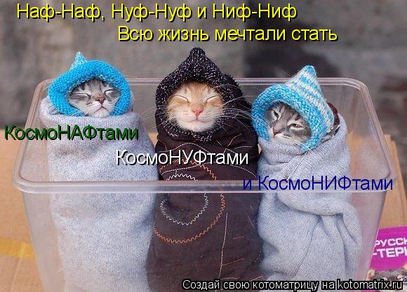 Котоматрица: Наф-Наф, Нуф-Нуф и Ниф-Ниф Всю жизнь мечтали стать КосмоНАФтами КосмоНУФтами и КосмоНИФтами
