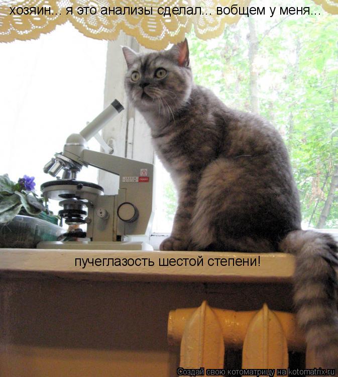 Котоматрица: хозяин... я это анализы сделал... вобщем у меня... пучеглазость шестой степени!