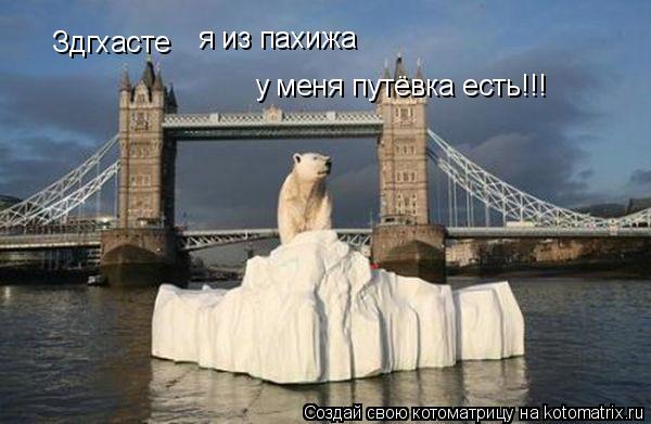 Котоматрица: Здгхасте я из пахижа у меня путёвка есть!!!