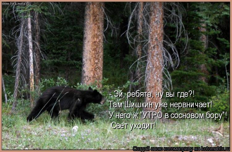 - Эй, ребята, ну вы где?! Там Шишкин уже нервничает! У него ж "УТРО в сосновом бору"! Свет уходит!... Котоматрица: - Эй, ребята, ну вы где?! Там Шишкин уже нервничает! У него ж "УТРО в сосновом бору"! Свет уходит!