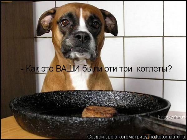 Котоматрица: - Как это ВАШИ были эти три  котлеты?