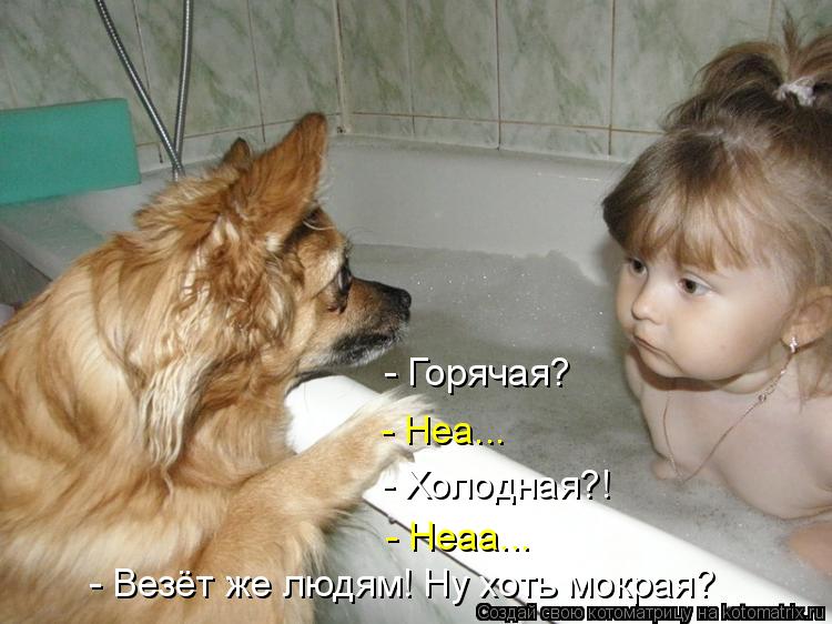 Котоматрица: - Везёт же людям! Ну хоть мокрая? - Горячая? - Неа... - Холодная?! - Неаа...