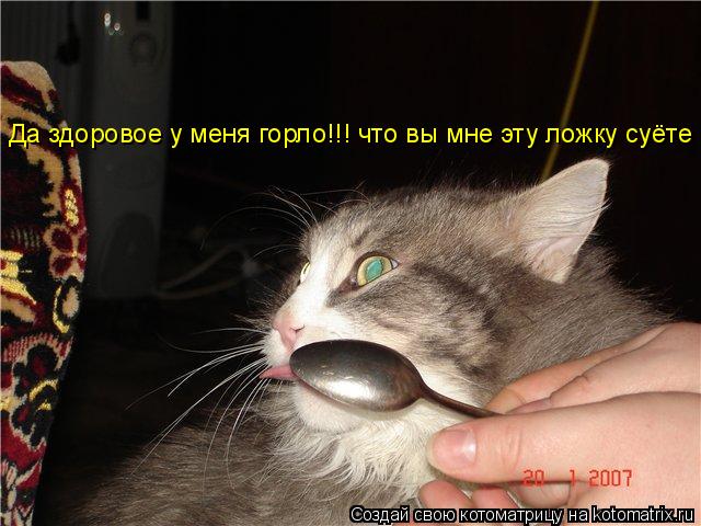 Котоматрица: Да здоровое у меня горло!!! что вы мне эту ложку суёте