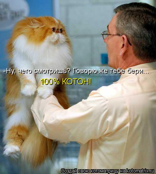 100% КОТОН! -Ну, чего смотришь? Говорю же тебе бери...... Котоматрица: 100% КОТОН! -Ну, чего смотришь? Говорю же тебе бери...