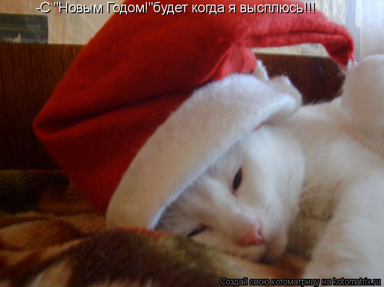Котоматрица: -С "Новым Годом!"будет когда я высплюсь!!!
