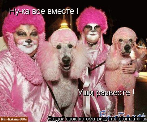 Котоматрица: Ну-ка все вместе ! Уши развесте !