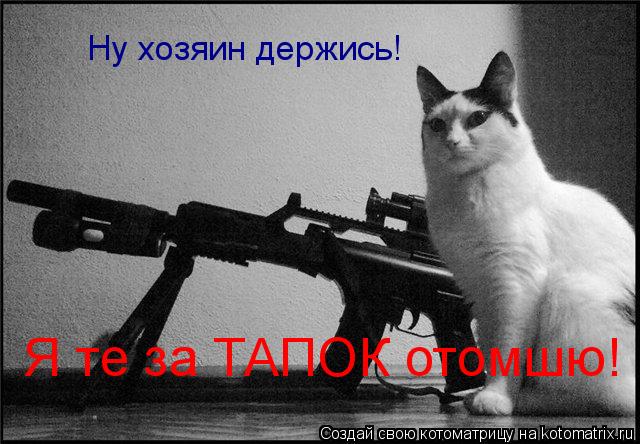 Котоматрица: Ну хозяин держись! Я те за ТАПОК отомшю!
