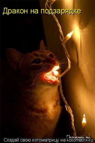 Котоматрица: Дракон на подзарядке
