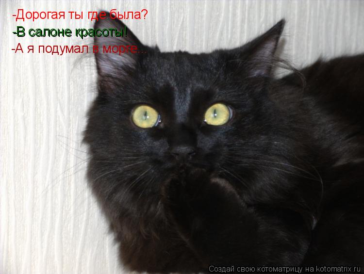 Котоматрица: -Дорогая ты где была? -В салоне красоты! -А я подумал в морге...