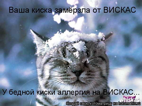 Котоматрица: Ваша киска замёрзла от ВИСКАС У бедной киски аллергия на ВИСКАС...