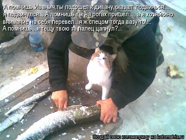 Котоматрица: А помнишь,Иваныч,ты подошел к дивану,сказал: подвинься!... я подвинулся... А помнишь ты на рогах пришел..., а я хозяйкино внимание на себя переве