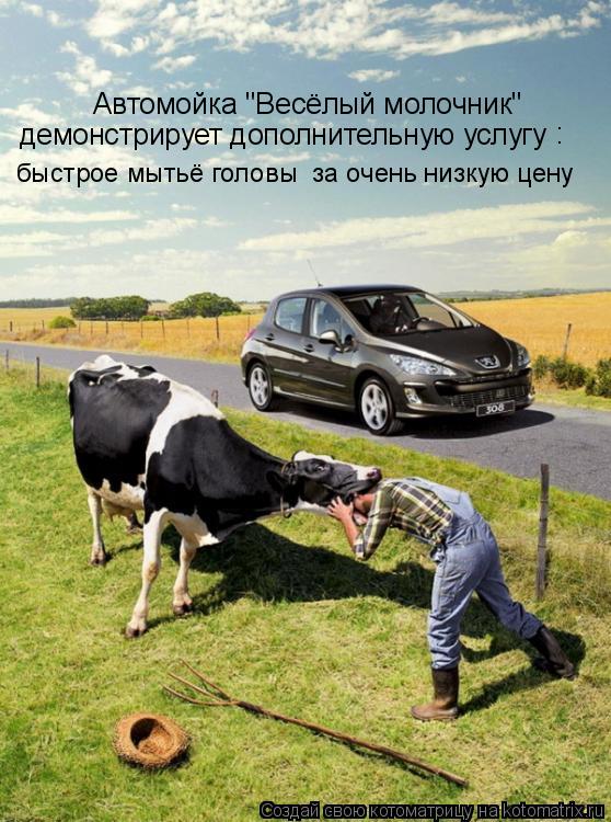 Котоматрица: Автомойка "Весёлый молочник" демонстрирует дополнительную услугу : быстрое мытьё головы  за очень низкую цену