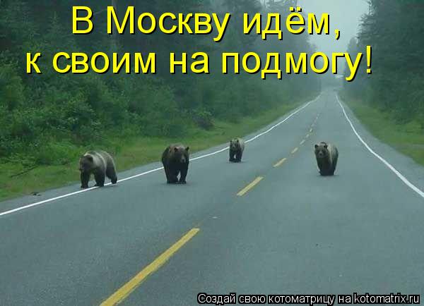 В Москву идём, к своим на подмогу!... Котоматрица: В Москву идём, к своим на подмогу!