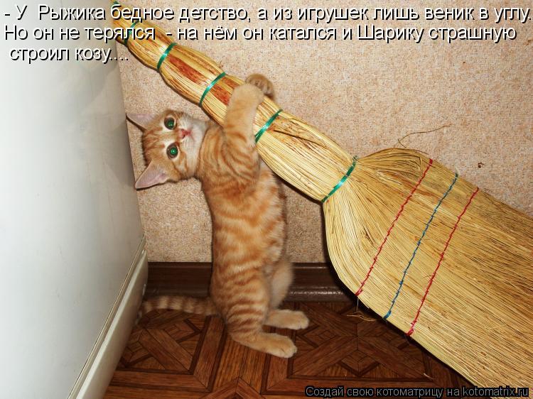 Котоматрица: - У  Рыжика бедное детство, а из игрушек лишь веник в углу... Но он не терялся  - на нём он катался и Шарику страшную  строил козу....