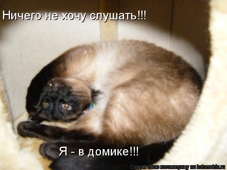 Котоматрица: Ничего не хочу слушать!!! Я - в домике!!!