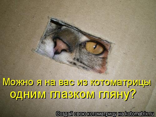 Можно я на вас из котоматрицы одним глазком гляну?... Котоматрица: Можно я на вас из котоматрицы одним глазком гляну?