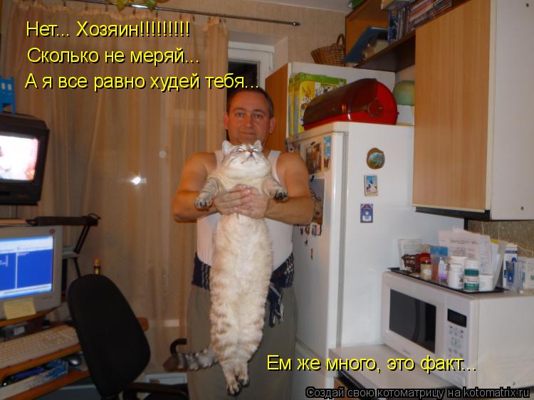 Котоматрица: Нет... Хозяин!!!!!!!!! Сколько не меряй... А я все равно худей тебя... Ем же много, это факт...
