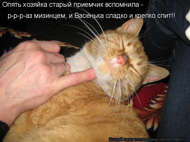 Котоматрица: Опять хозяйка старый приемчик вспомнила -  р-р-р-аз мизинцем, и Васенька сладко и крепко спит!!