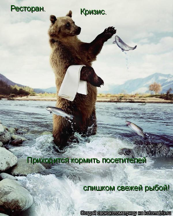 Котоматрица: Ресторан. Кризис. Приходится кормить посетителей слишком свежей рыбой!