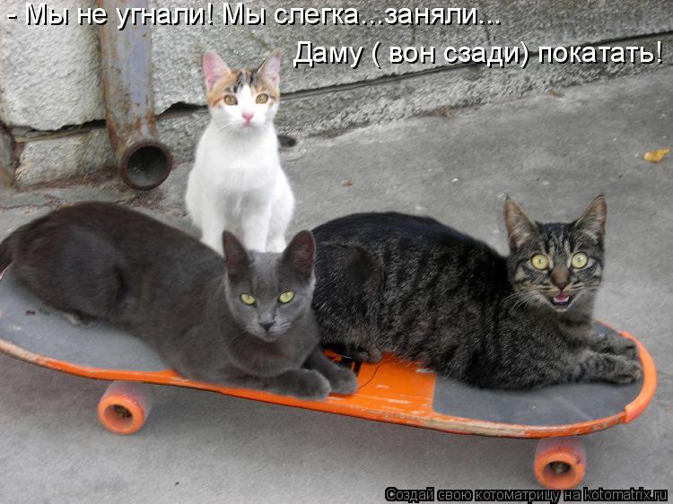 Котоматрица: - Мы не угнали! Мы слегка...заняли... Даму ( вон сзади) покатать!