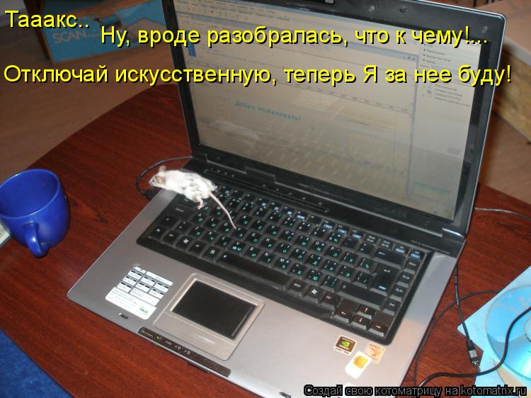 Котоматрица: Отключай искусственную, теперь Я за нее буду! Тааакс.. Ну, вроде разобралась, что к чему!...