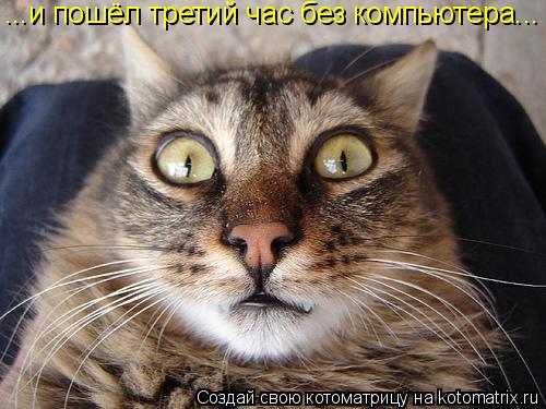 Котоматрица: ...и пошёл третий час без компьютера...