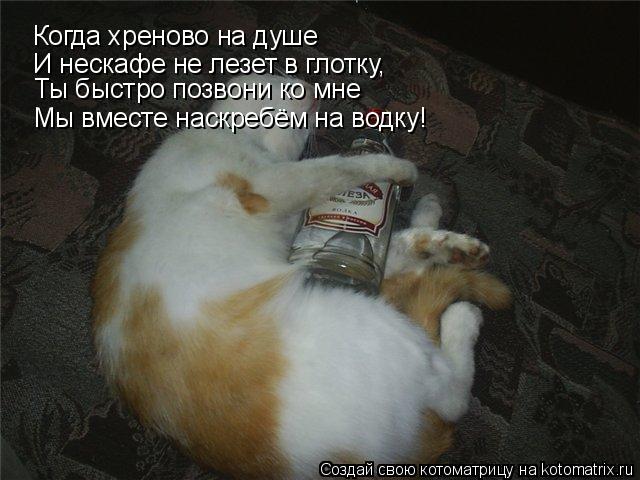 Котоматрица: Когда хреново на душе И нескафе не лезет в глотку, Ты быстро позвони ко мне Мы вместе наскребём на водку!