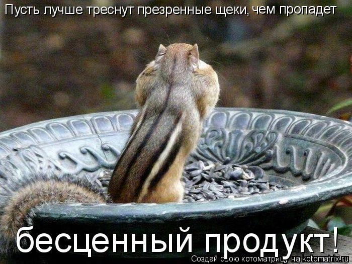 Котоматрица: Пусть лучше треснут  презренные щеки, чем пропадет бесценный продукт!