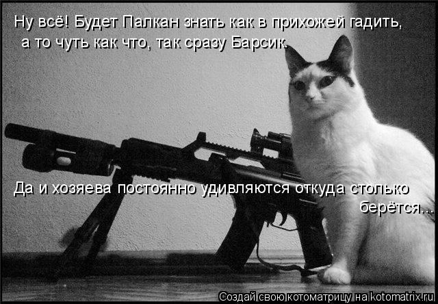 Котоматрица: Ну всё! Будет Палкан знать как в прихожей гадить, а то чуть как что, так сразу Барсик. Да и хозяева постоянно удивляются откуда столько берёт