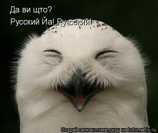 Котоматрица: Да ви щто? Русский Йа! Ру-сский!