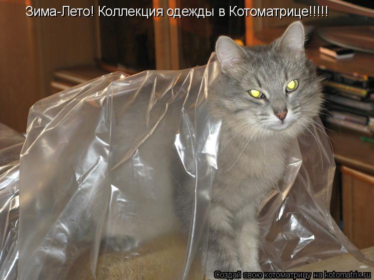 Котоматрица: Зима-Лето! Коллекция одежды в Котоматрице!!!!!