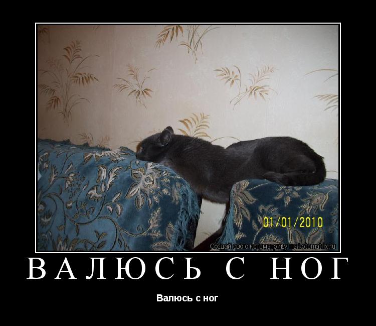 Котоматрица: Валюсь с ног Валюсь с ног